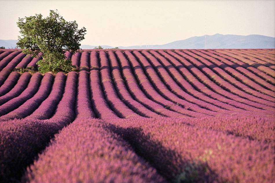 Agence immobilière Marseille 13013 - CYRIMMO transactions