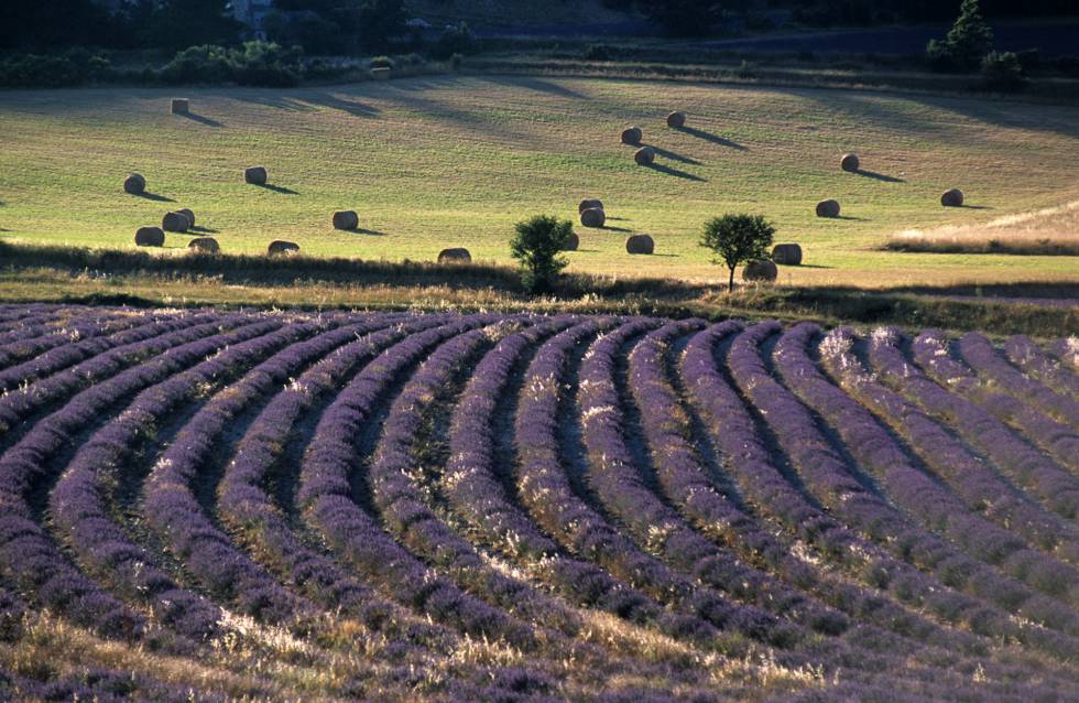 Agence immobilière Marseille 13012 REINA IMMOBILIER