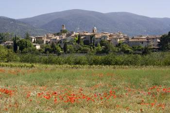 ROCHE et ASSOCIES agence immobilière multiservices à Marseille 4 ème arrondissement