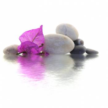 Photographe Mode Mariage Provence Alpes Côtes d'Azur Annuaire professionnel